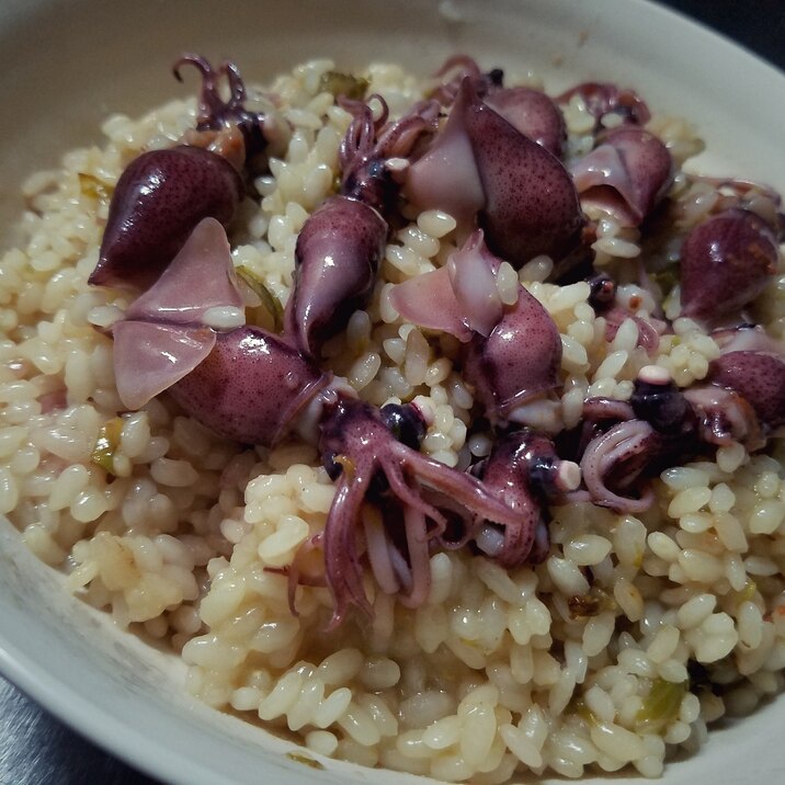 ホタルイカのリゾット　ふき味噌風味